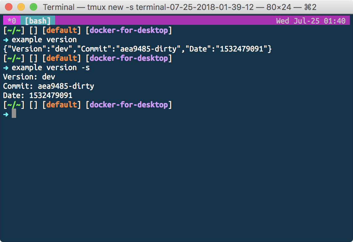 Go Version for Cobra Projects - Chris Hein